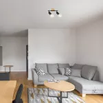 3977 Lampa sufitowa Pablo E27 2xMAX 40W matt black