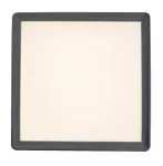 3359 Lampa sufitowa Lambert LED 15W