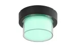 Durbe, outdoor round wall/ceiling lamp, 10W, with shade: 780lm, without shade: 1200lm, 3000-6500K, dimmable by APP, CCT by APP, RGB, WI-FI, Bluetooth, D17cm, L10cm, IP54, Class G
