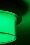 Durbe, outdoor round wall/ceiling lamp, 10W, with shade: 780lm, without shade: 1200lm, 3000-6500K, dimmable by APP, CCT by APP, RGB, WI-FI, Bluetooth, D17cm, L10cm, IP54, Class G
