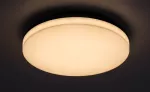 Pernik outdoor round ceiling lamp, with shade: 2400lm, without shade: 2565lm, 24W, 3000K, D28cm, H5cm, IP54, IK08, Class F