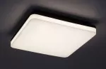 Pernik outdoor square ceiling lamp, with shade: 2400lm, without shade: 2565lm, 24W, 4000K, D28cm, H5cm, IP54, IK08, Class F