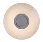3509 Lampa sufitowa Rodion LED 24W