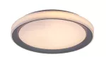 3510 Lampa sufitowa Everest ind WIFI LED 40W silver D51