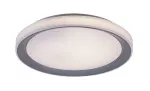 3510 Lampa sufitowa Everest ind WIFI LED 40W silver D51