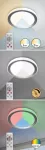 3510 Lampa sufitowa Everest ind WIFI LED 40W silver D51