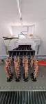 Perforowany profil aluminiowy nVent ERIFLEX FleXbus
