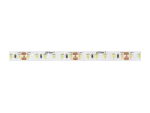 LED line Taśma 600 SMD 24V 6000K 14,4W