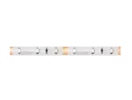 LED line Taśma 300 SMD 12V zielona 4,8W IP65