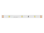 Taśma LED 150/5m SMD 12V GREEN 2,4W IP20 8mm 5m PRIME