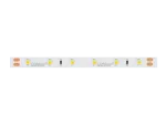 Taśma LED 300/5m SMD 24V 6500K 4,8W IP20 8mm 30m 400lm/m PRIME