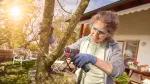 Nanoblade piła akumulatorowa EasyCut12(Baretool)