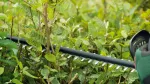 Nożyce do żywopłotu li-lion UniversalHedgeCut 18V-50 (BT)
