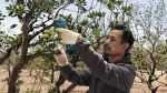Sekator akumulatorowy Pro Pruner (solo)
