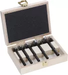 WIERTŁO FORSTNERA EXPERT WOOD SET 5 PC
