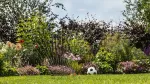 Pompa ogrodowa akumulatorowa GardenPump 18V-2000 (BT)