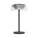 LUMINA FUNGI 2.5W 260MM USB-C IP44 1800mAh