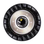 Oprawa parkowa MOONLIGHT LED regulowana moc i barwa światła 80/100/120W 3000/5000/6500K 230V antracyt / aluminium