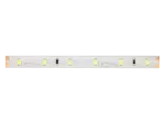 Taśma LED 300/5m SMD 24V 6500K 4,8W IP65 8mm 5m 480lm/m LITE