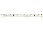 Taśma LED 300/5m SMD 24V 11000K 4,8W IP20 8mm 5m 400lm/m PRIME
