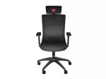 FOTEL ERGONOMICZNY GENESIS ASTAT 200 G2 CZARNY