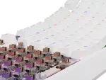KLAWIATURA DLA GRACZY GENESIS THOR 230 TKL US RGB MECHANICZNA OUTEMU BROWN BIAŁA HOT SWAP