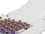 KLAWIATURA DLA GRACZY GENESIS THOR 230 TKL US RGB MECHANICZNA OUTEMU BROWN BIAŁA HOT SWAP
