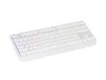 KLAWIATURA DLA GRACZY GENESIS THOR 230 TKL WIRELESS US BIAŁA BEZPRZEWODOWA RGB MECHANICZNA OUTEMU RE