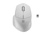MYSZ NATEC SISKIN 2 BEZPRZEWODOWA 1600DPI BLUETOOTH 5.0 + 2.4GHZ BIAŁA Z CICHYM KLIKIEM