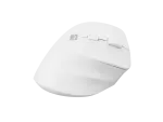MYSZ WERTYKALNA NATEC CRAKE 2 BEZPRZEWODOWA 2400DPI BLUETOOTH 5.2 + 2.4GHZ BIAŁA