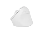 MYSZ WERTYKALNA NATEC CRAKE 2 BEZPRZEWODOWA 2400DPI BLUETOOTH 5.2 + 2.4GHZ BIAŁA