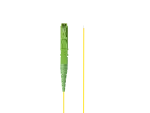PIGTAIL ŚWIATŁOWÓD SM LSH/APC EASY STRIP 9/125 G657A1 2M ŻÓŁTY LANBERG