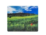 PODKŁADKA POD MYSZ FOTO NATEC ITALY 220X180MM 10-PACK