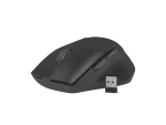 ZESTAW 2W1 NATEC STINGRAY KLAWIATURA+MYSZ US BEZPRZEWODOWA OPTYCZNA