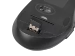 ZESTAW 2W1 NATEC STINGRAY KLAWIATURA+MYSZ US BEZPRZEWODOWA OPTYCZNA