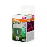 Lampa LED STAR GROW T LAMP 20W Clear E27