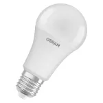 Lampa LED STAR CLASSIC A 19W 865 Frosted E27