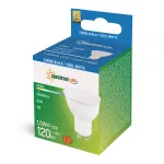 LED GU10 230V 1.5W SMD CW z MATOWĄ SZYBKĄ SPECTRUM