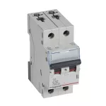 WYŁĄCZNIK NADPRĄDOWY S 302 2P C 32A 6000A SERII TX3, Legrand