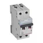 WYŁĄCZNIK NADPRĄDOWY S 302 2P D 32A 6000A SERII TX3, Legrand