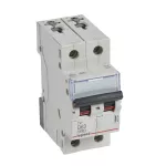 WYŁĄCZNIK NADPRĄDOWY S 302 2P D 63A 6000A SERII TX3, Legrand