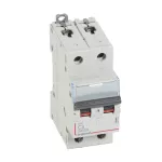 WYŁĄCZNIK NADPRĄDOWY S 302 2P C 3A 6000A SERII DX3, Legrand