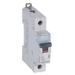 WYŁĄCZNIK NADPRĄDOWY S 301 1P D 1A 6000A SERII DX3, Legrand