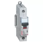 WYŁĄCZNIK NADPRĄDOWY S 301 1P D 6A 6000A SERII DX3, Legrand