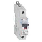 WYŁĄCZNIK NADPRĄDOWY S 301 1P D 40A 6000A SERII DX3, Legrand
