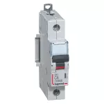 WYŁĄCZNIK NADPRĄDOWY S 311 1P C 6A 10000A SERII DX3, Legrand