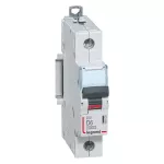 WYŁĄCZNIK NADPRĄDOWY S 311 1P D 6A 10000A SERII DX3, Legrand