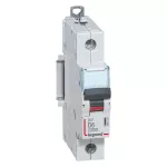 WYŁĄCZNIK NADPRĄDOWY S 311 1P D 6A 10000A SERII DX3, Legrand