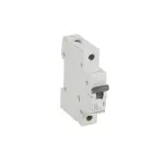 WYŁĄCZNIK NADPRĄDOWY RX3 1P B 6A 6000A