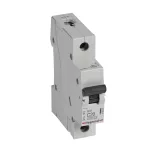 WYŁĄCZNIK NADPRĄDOWY RX3 1P C 20A 6000A, Legrand